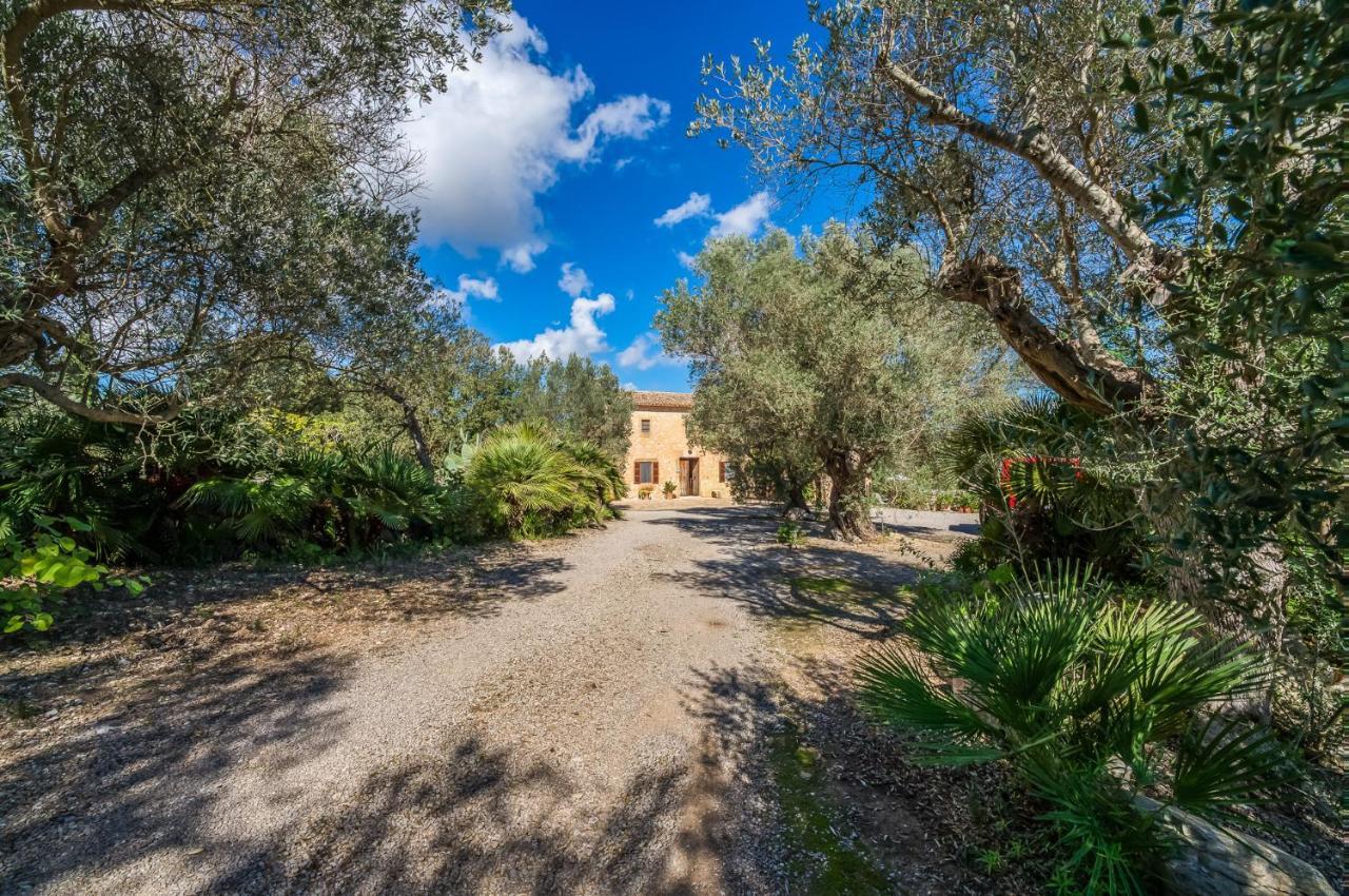 Finca Son Gener Can Teula Son Servera  Exterior photo